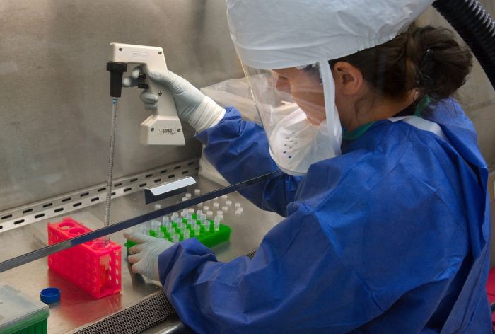 Investigación y biología (Foto: Pixabay)